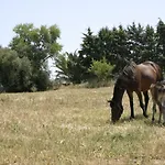 Tenuta San Calogero App Rosmarino אגנונה באגני