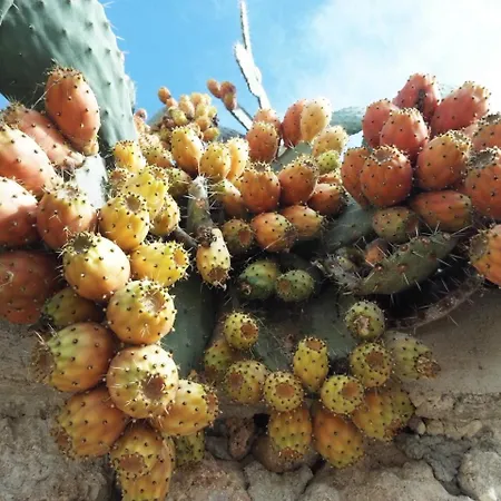 Tenuta San Calogero App Rosmarino * Agnone Bagni